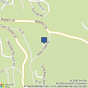 342 CANYON DR Big Bear, CA MLS# DW26110133