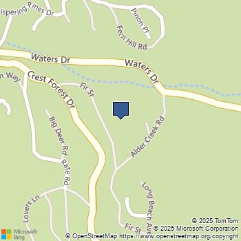 40 Fir Street Cedarpines Park, CA MLS# CV25074462