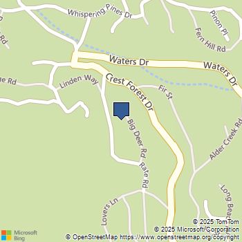 319 Triangle Nook Road Cedarpines Park, CA MLS# EV24069459