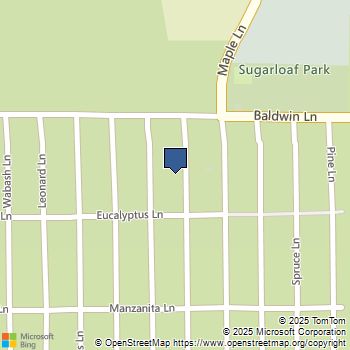 156 Victoria Lane Sugarloaf, CA MLS# 219125581PS