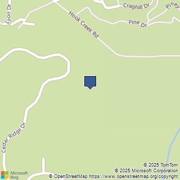 0 Hook Creek Rd Cedar Glen, CA MLS# 219134202DA