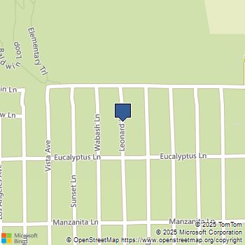 216 Leonard Lane Big Bear, CA MLS# PW25254407