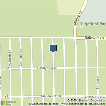 548 Moreno Lane Sugarloaf, CA MLS# OC25236404