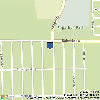 130 Maple Lane Sugarloaf, CA MLS# OC25153486