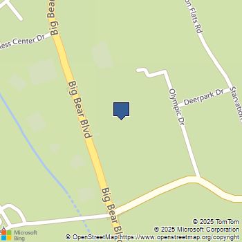 42165 Big Bear Boulevard Big Bear Lake, CA MLS# EV24127489