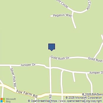 42518 Gold Rush Drive Big Bear Lake, CA MLS# EV24197563