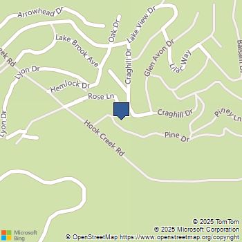 29282 Pine Drive Cedar Glen, CA MLS# IV25154448