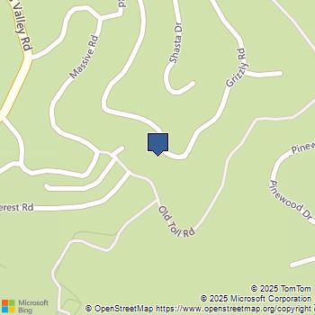 173 Grizzly Road Lake Arrowhead, CA MLS# IG24250025