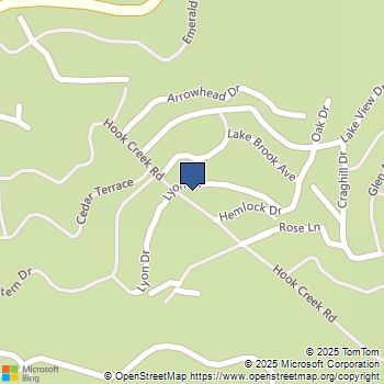 29166 Lyon Drive Cedar Glen, CA MLS# CV25246703