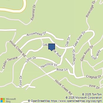 29239 Lake Brook Avenue Cedar Glen, CA MLS# IG25157084