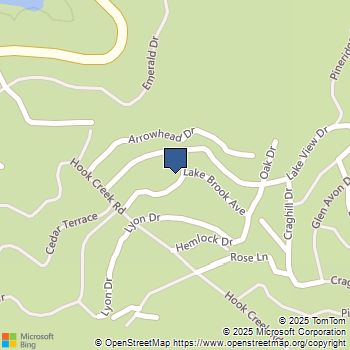 29196 Lake Brook Avenue Cedar Glen, CA MLS# IG25254134