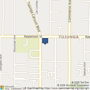 10290 Tujunga Canyon Boulevard 103 Tujunga, CA MLS# SR25199201