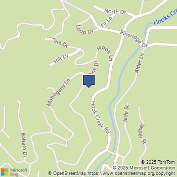 29632 Hook Creek Road Cedar Glen, CA MLS# IG25062583