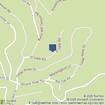 61 Lot - El Valle Road Cedarpines Park, CA MLS# HD25039902