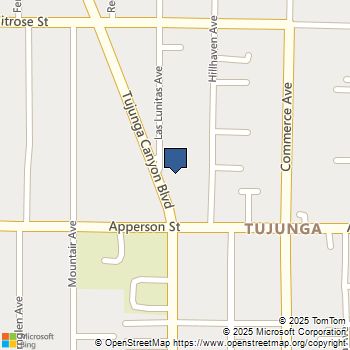 10334 Tujunga Canyon Blvd Tujunga, CA MLS# DW25062107