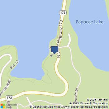 496 North State Highway 173 Lake Arrowhead, CA MLS# OC25054426