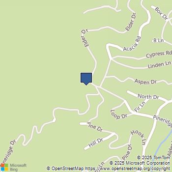 29521 Pine Ridge Drive Cedar Glen, CA MLS# IV25144263