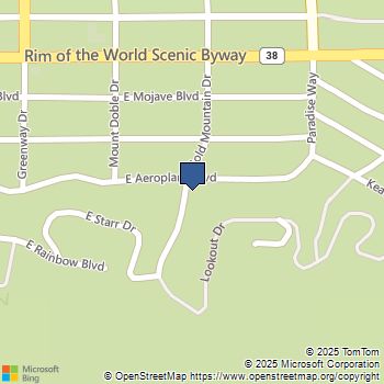 300 E Aeroplane Boulevard Big Bear, CA MLS# 219130797DA