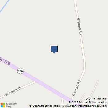 000 Crims Creek Trail Lot 20 Pomaria, SC MLS# 631963