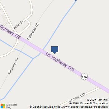 000 US Highway 176 Highway Pomaria, SC MLS# 632434