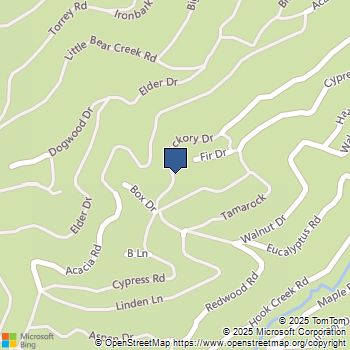 29685 Hickory Drive Cedar Glen, CA MLS# HD25012792