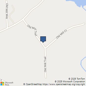 789 Old Mill Court Ball Ground, GA MLS# 10658523