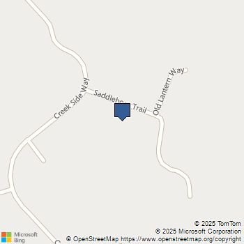 202 Saddlehorn Trail Ball Ground, GA MLS# 10635606