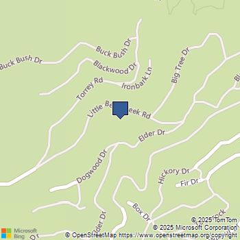 29629 Little Bear Creek Road Cedar Glen, CA MLS# HD25167695