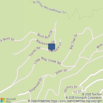 29643 Ironbark Lane Cedar Glen, CA MLS# HD23204722