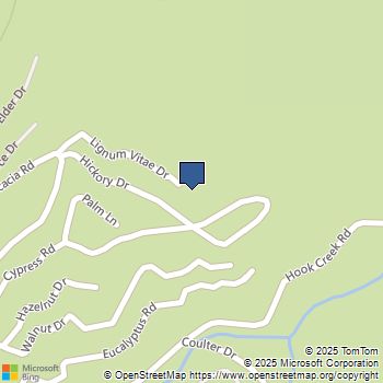 30018 Lignum Vitae Drive Cedar Glen, CA MLS# HD23087653