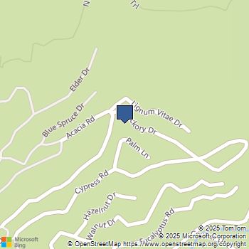 29935 Hickory Dr Cedar Glen, CA MLS# HD25051843