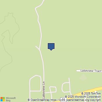 59 Lakeview Trail Fawnskin, CA MLS# PW25175039