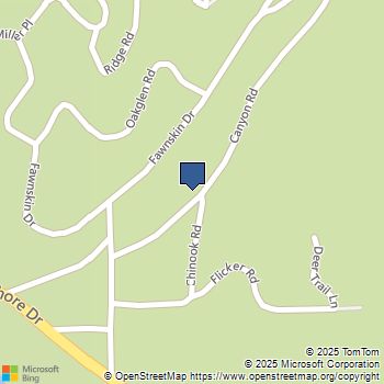 1 Canyon Road Fawnskin, CA MLS# WS24240332