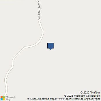 Lot 16 Swayback Trail Corona, NM MLS# 1087764