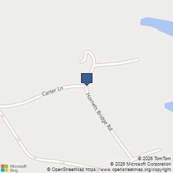 0 Hornets Bridge Road Elberton, GA MLS# 10817716