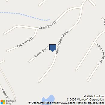 3934 Sweet Magnolia Drive SW Gainesville, GA MLS# 10674789