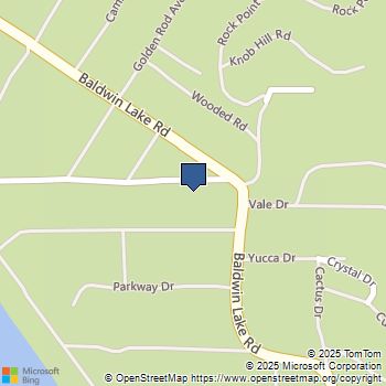 46019 South Dr Big Bear City, CA MLS# DW25188734