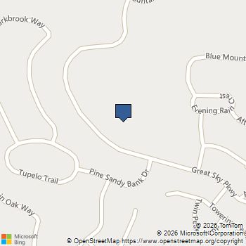 313 Willow Cove Canton, GA MLS# 10677544