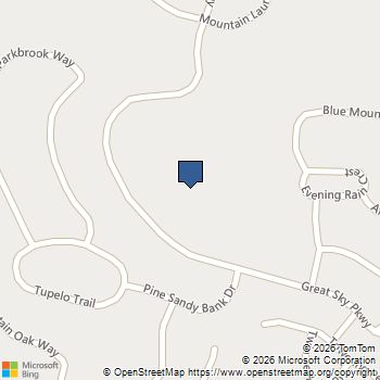 320 Willow Cove Canton, GA MLS# 10677487