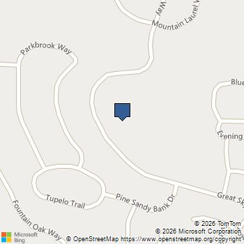 333 Willow Cove Canton, GA MLS# 10677473