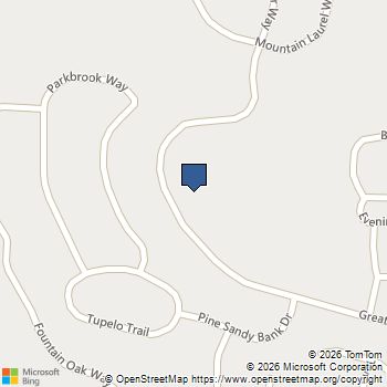 337 Willow Cove Canton, GA MLS# 10677453