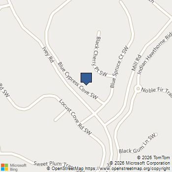 3522 Blue Cypress Cove Gainesville, GA MLS# 10831619