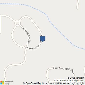 312 Mountain Laurel Walk Canton, GA MLS# 10799038