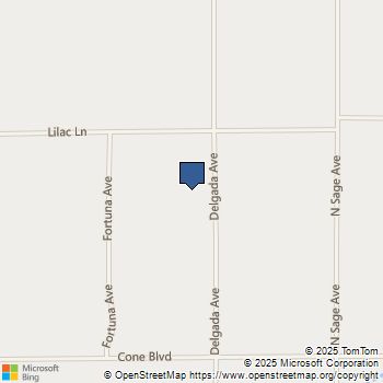 2250 Delgada Avenue Landers, CA MLS# JT25126386