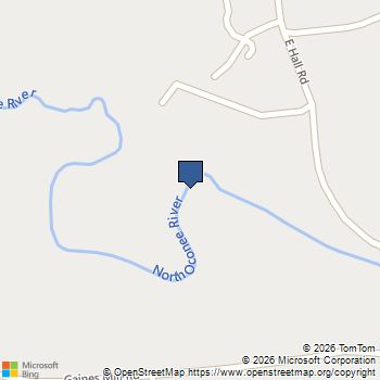 4542 E Hall Road Gainesville, GA MLS# 7827351