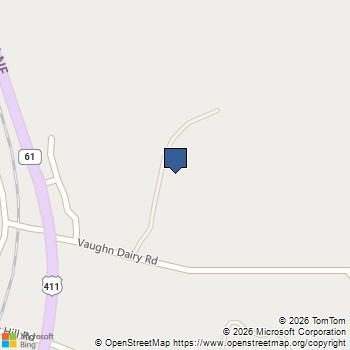 115 Palisade Drive Rydal, GA MLS# 10742034