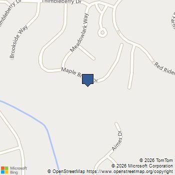 296 Maple Brook Drive Dawsonville, GA MLS# 7747088