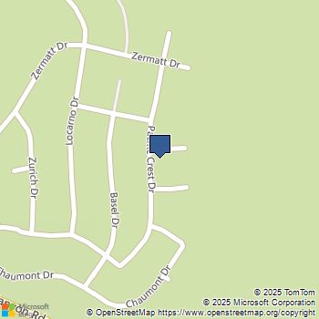 5419 Pacific Crest Drive Wrightwood, CA MLS# HD25198475