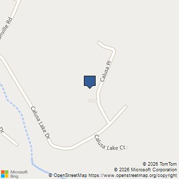309 Calusa Place Ball Ground, GA MLS# 10818692