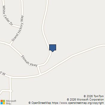 78 Shadwood Place Dawsonville, GA MLS# 7739018